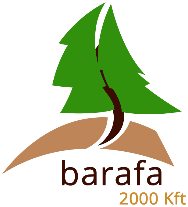 Barafa cges log